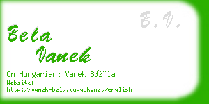 bela vanek business card